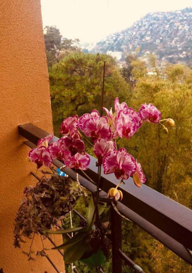 Courtyards Peak-Corner Pinestay - At Goshenland Baguio Baguio City Екстериор снимка